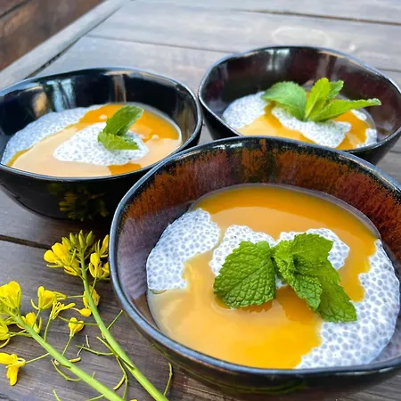 Aldeia Caicara Surf House