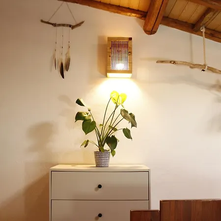 Aldeia Caicara Surf House Hostel