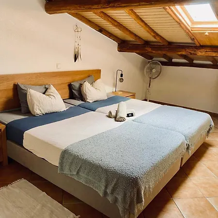 Aldeia Caicara Surf House Hostel *
