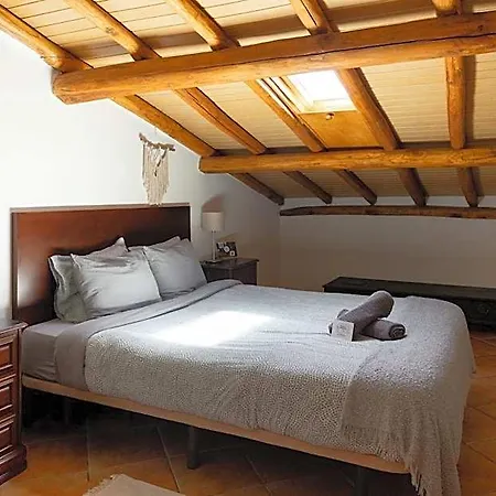 호스텔 Aldeia Caicara Surf House