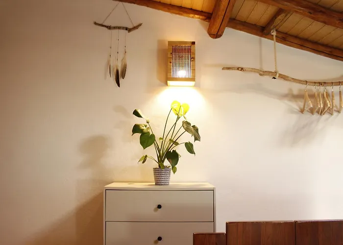 Aldeia Caicara Surf House Hostel