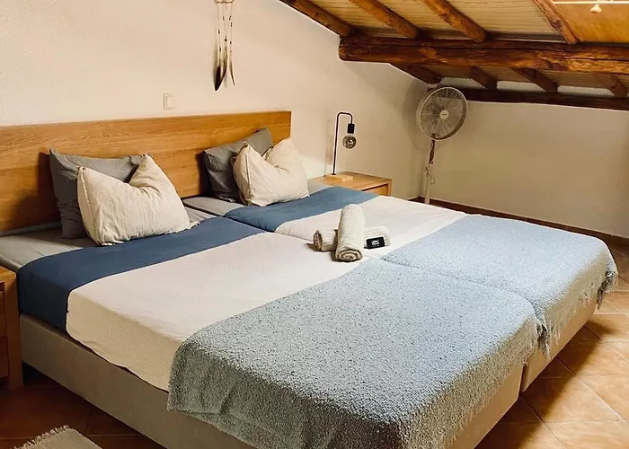 Aldeia Caicara Surf House Hostel *